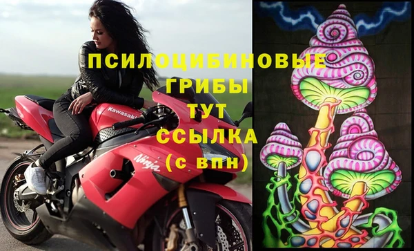 прущие крисы Пестово