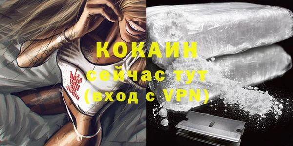 гидропоника Пересвет