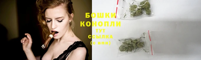 прущие крисы Пестово