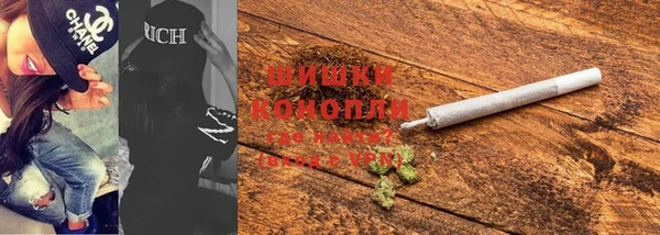 гидропоника Пересвет