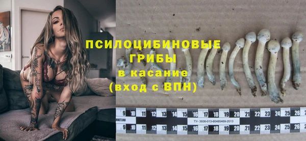 соль ск Переславль-Залесский