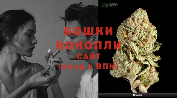 гидропоника Пересвет