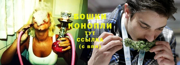 соль ск Переславль-Залесский