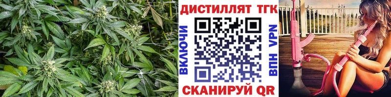 купить   Скопин  ТГК Wax 