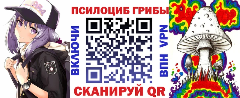 дарнет шоп  Скопин  Псилоцибиновые грибы Magic Shrooms 