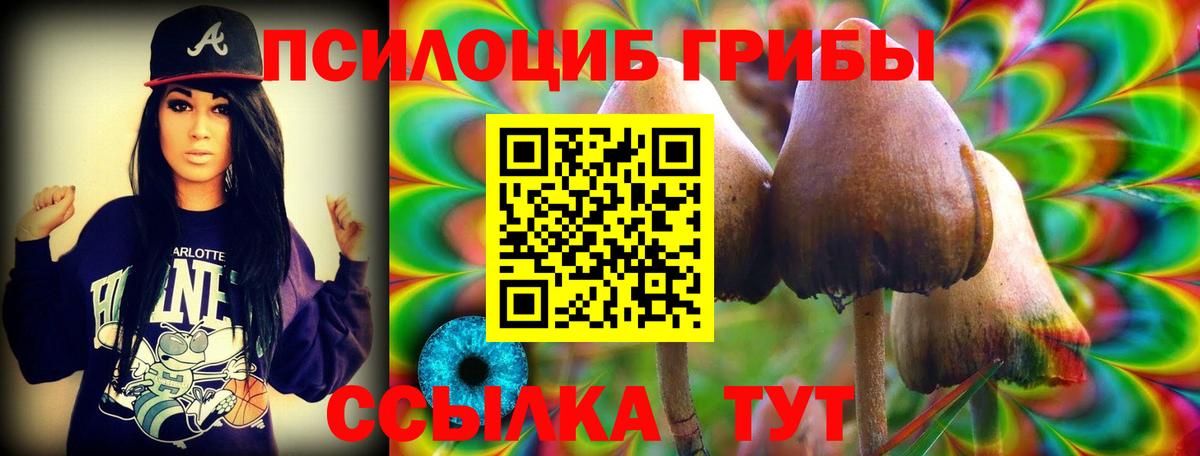 Псилоцибиновые грибы Magic Shrooms  Вход с VPN  Скопин 